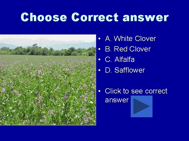 Choose Correct answer • • A. White Clover B. Red Clover C. Alfalfa D.