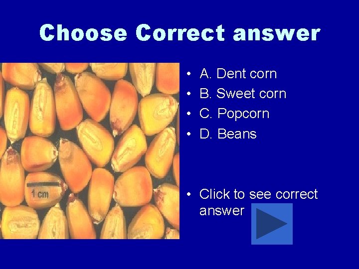 Choose Correct answer • • A. Dent corn B. Sweet corn C. Popcorn D.