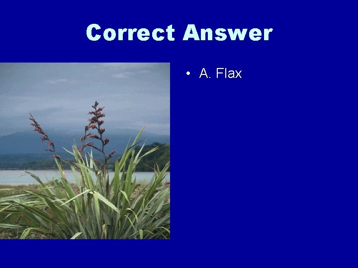 Correct Answer • A. Flax 