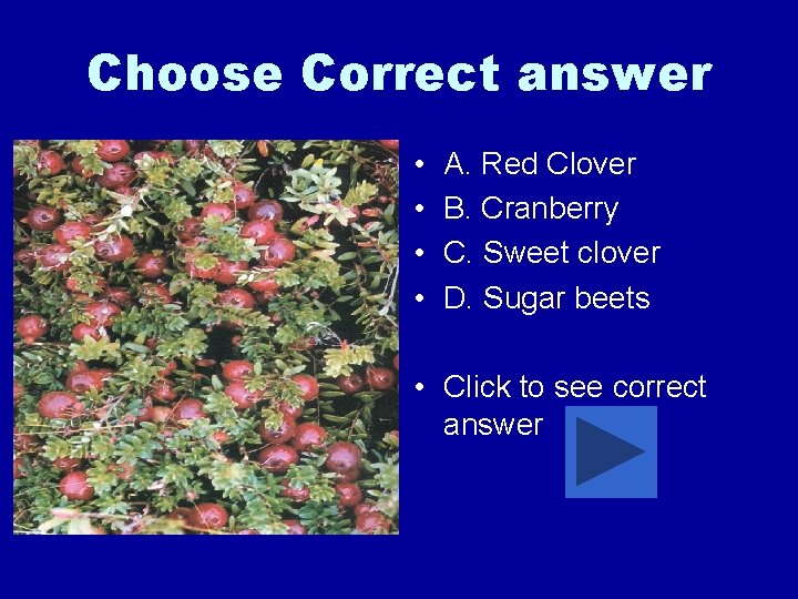 Choose Correct answer • • A. Red Clover B. Cranberry C. Sweet clover D.