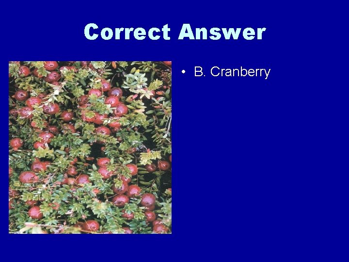 Correct Answer • B. Cranberry 