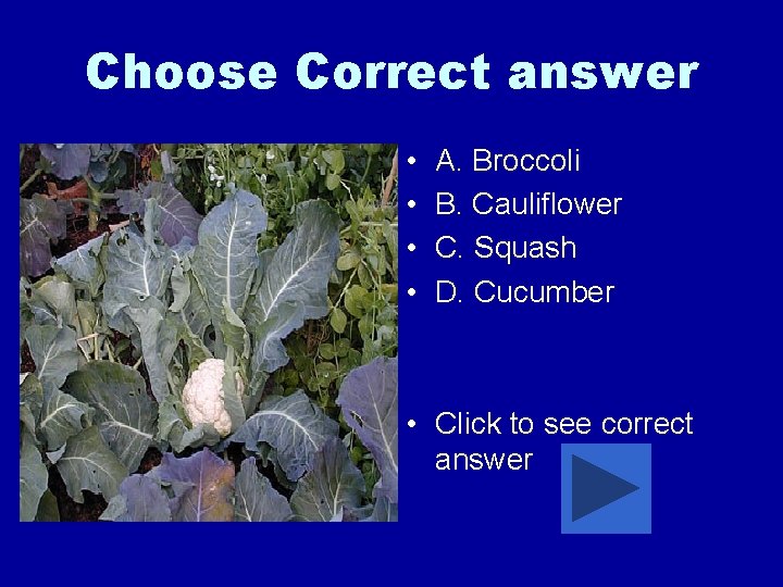 Choose Correct answer • • A. Broccoli B. Cauliflower C. Squash D. Cucumber •