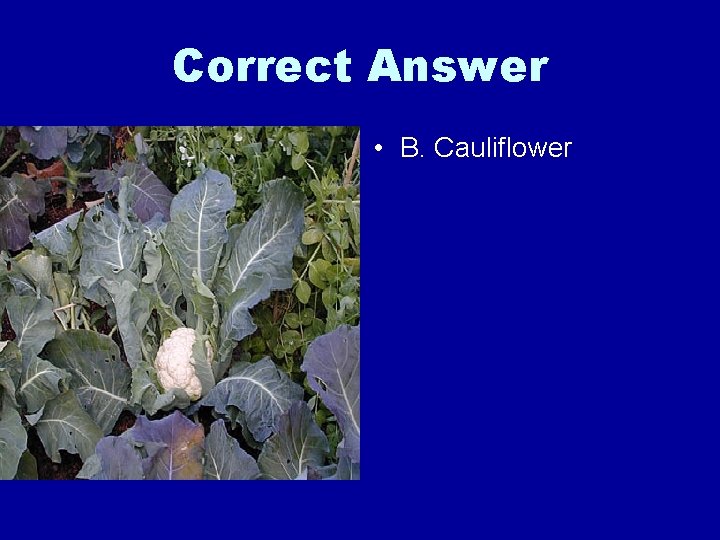 Correct Answer • B. Cauliflower 