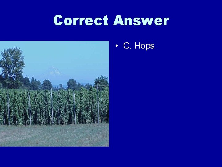 Correct Answer • C. Hops 