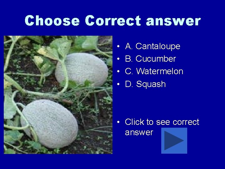 Choose Correct answer • • A. Cantaloupe B. Cucumber C. Watermelon D. Squash •