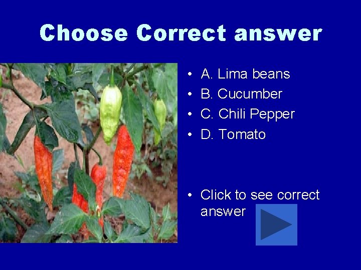 Choose Correct answer • • A. Lima beans B. Cucumber C. Chili Pepper D.