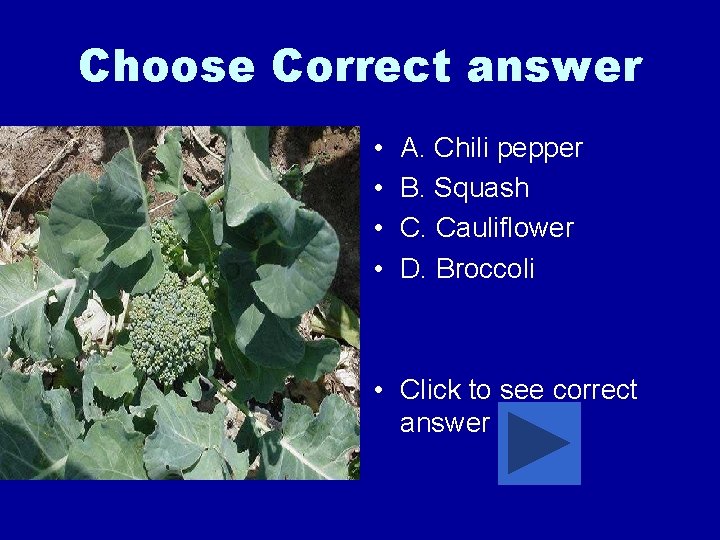 Choose Correct answer • • A. Chili pepper B. Squash C. Cauliflower D. Broccoli