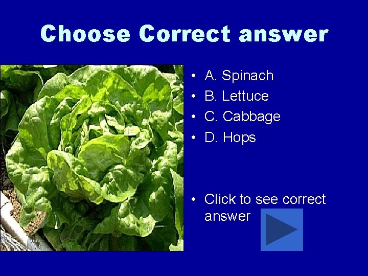 Choose Correct answer • • A. Spinach B. Lettuce C. Cabbage D. Hops •