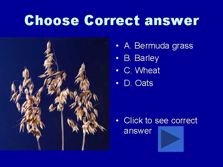 Choose Correct answer • • A. Bermuda grass B. Barley C. Wheat D. Oats