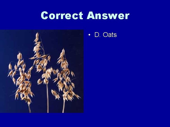 Correct Answer • D. Oats 