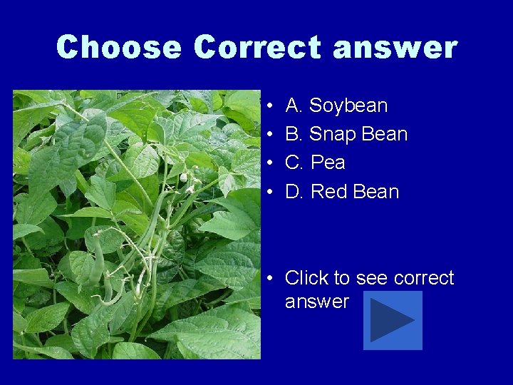 Choose Correct answer • • A. Soybean B. Snap Bean C. Pea D. Red