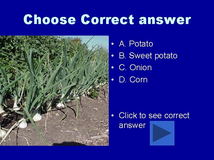 Choose Correct answer • • A. Potato B. Sweet potato C. Onion D. Corn