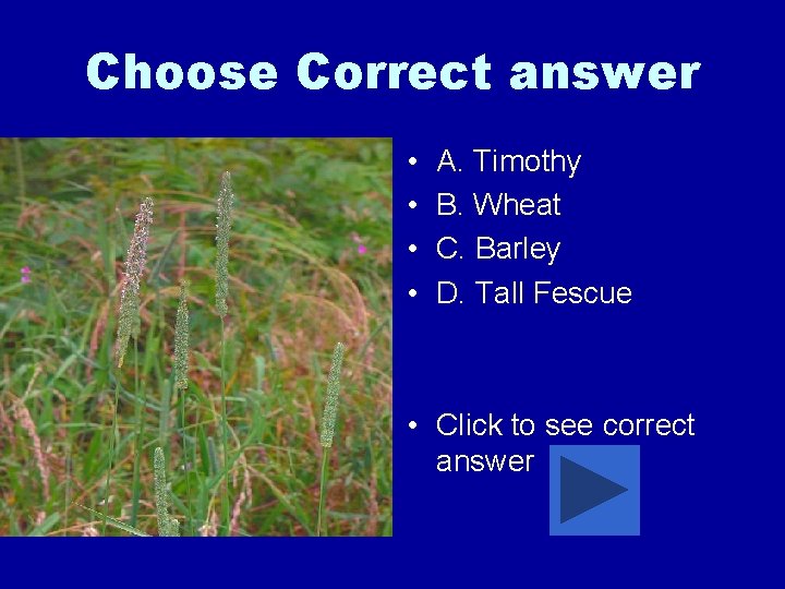 Choose Correct answer • • A. Timothy B. Wheat C. Barley D. Tall Fescue