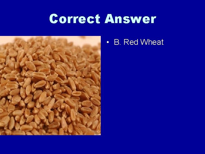 Correct Answer • B. Red Wheat 