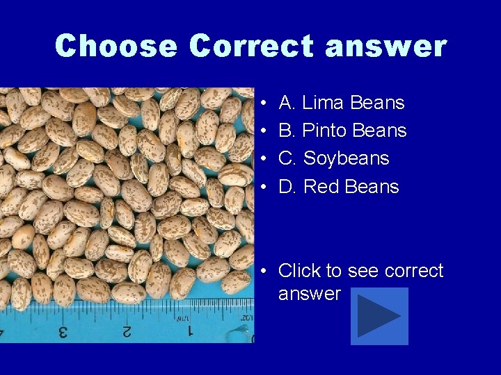 Choose Correct answer • • A. Lima Beans B. Pinto Beans C. Soybeans D.