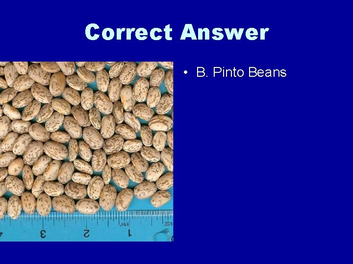 Correct Answer • B. Pinto Beans 