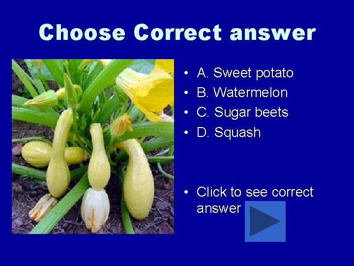 Choose Correct answer • • A. Sweet potato B. Watermelon C. Sugar beets D.