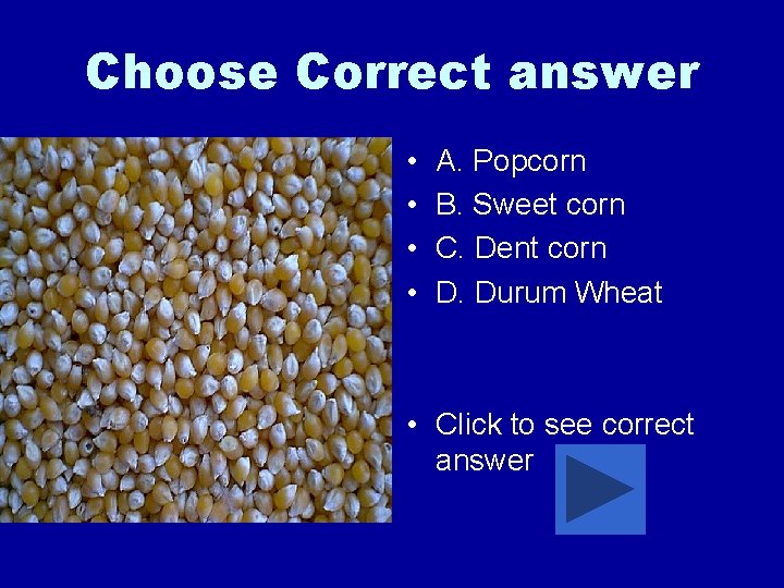 Choose Correct answer • • A. Popcorn B. Sweet corn C. Dent corn D.