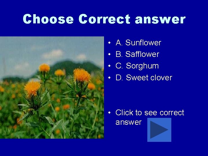 Choose Correct answer • • A. Sunflower B. Safflower C. Sorghum D. Sweet clover