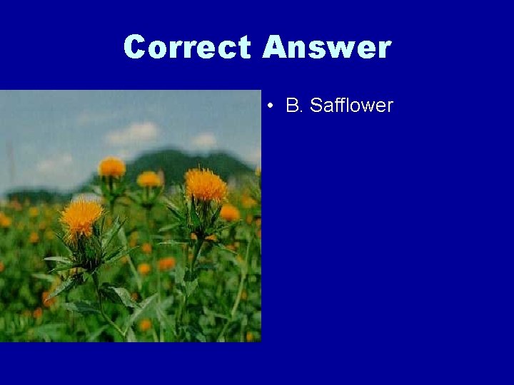 Correct Answer • B. Safflower 