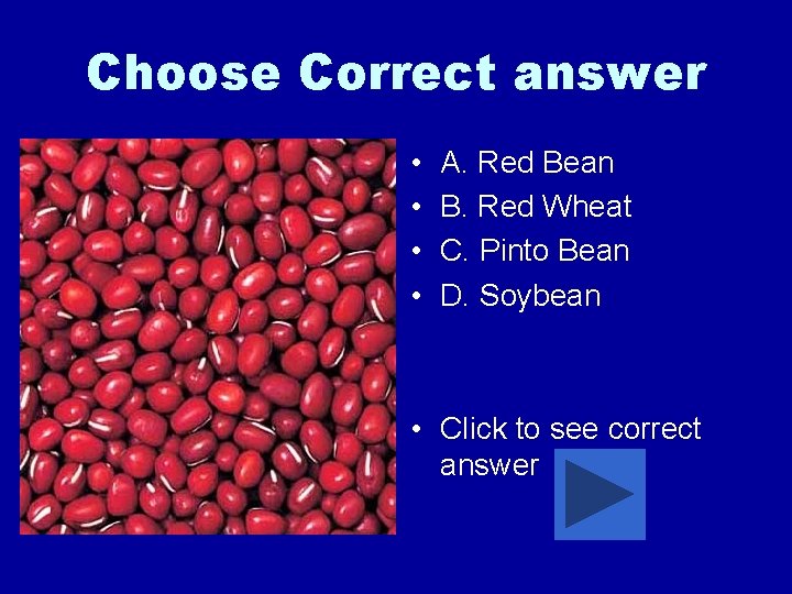 Choose Correct answer • • A. Red Bean B. Red Wheat C. Pinto Bean