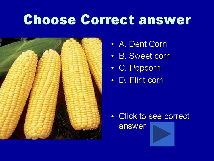 Choose Correct answer • • A. Dent Corn B. Sweet corn C. Popcorn D.