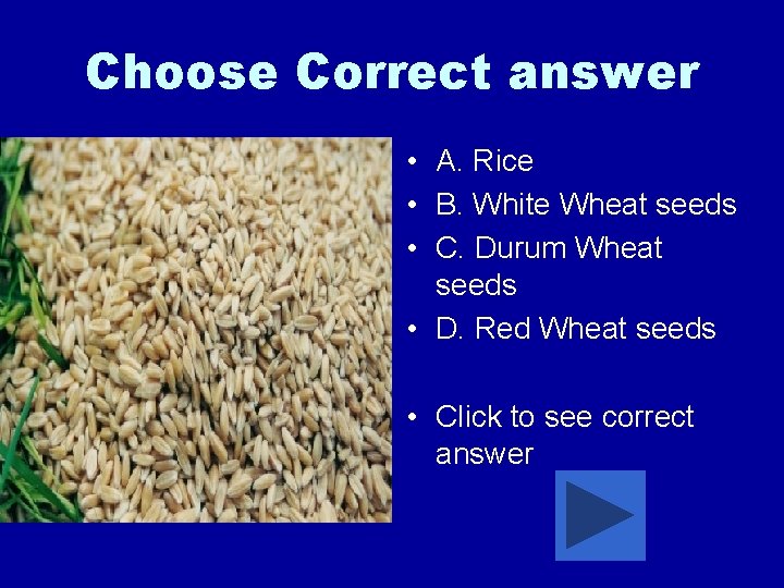 Choose Correct answer • A. Rice • B. White Wheat seeds • C. Durum