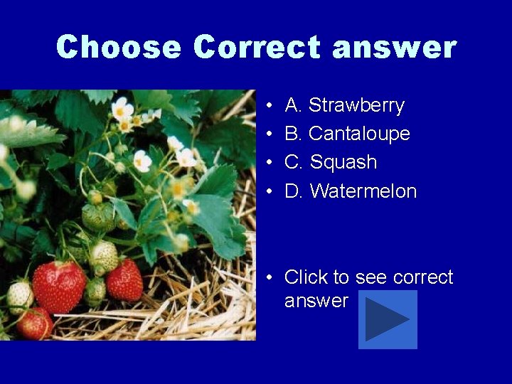 Choose Correct answer • • A. Strawberry B. Cantaloupe C. Squash D. Watermelon •