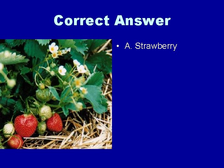 Correct Answer • A. Strawberry 