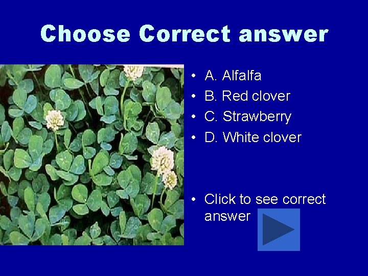 Choose Correct answer • • A. Alfalfa B. Red clover C. Strawberry D. White
