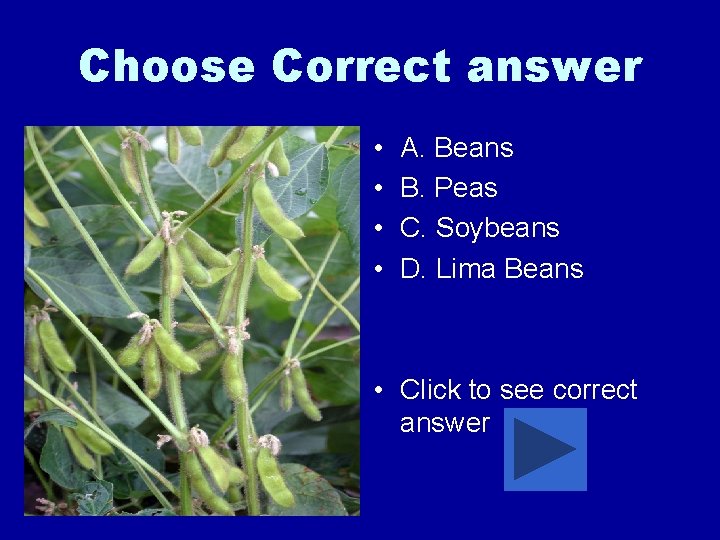 Choose Correct answer • • A. Beans B. Peas C. Soybeans D. Lima Beans