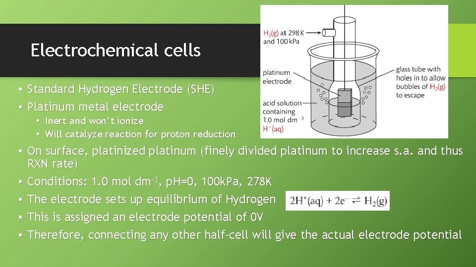 Electrochemical cells • Standard Hydrogen Electrode (SHE) • Platinum metal electrode • Inert and