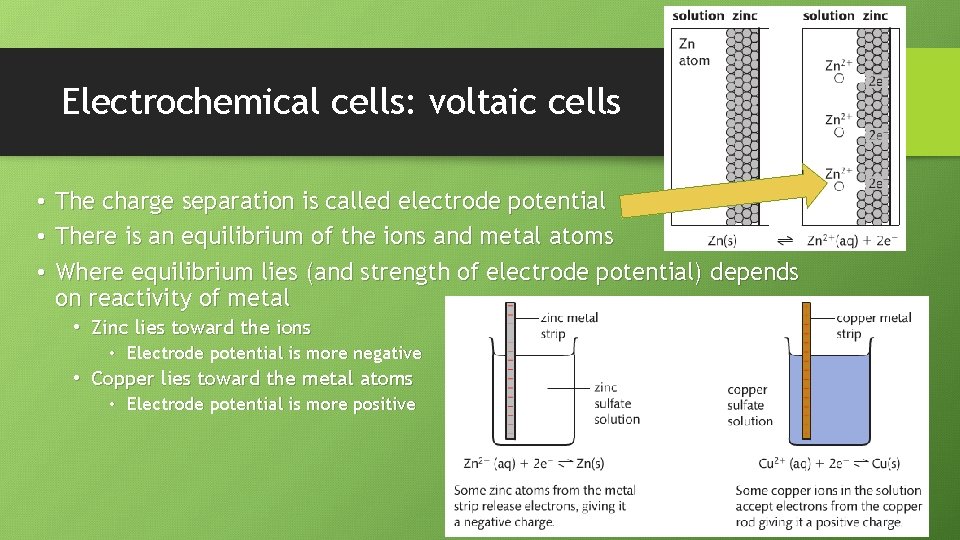 Electrochemical cells: voltaic cells • The charge separation is called electrode potential • There