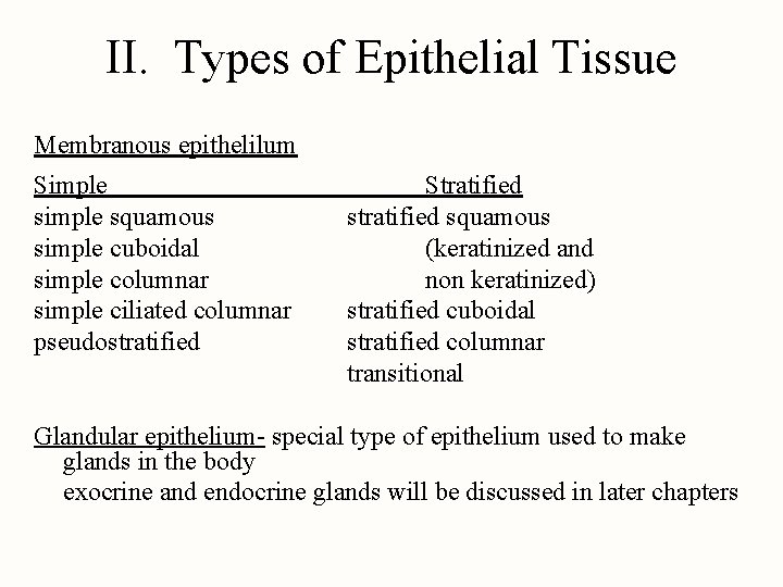 II. Types of Epithelial Tissue Membranous epithelilum Simple squamous simple cuboidal simple columnar simple