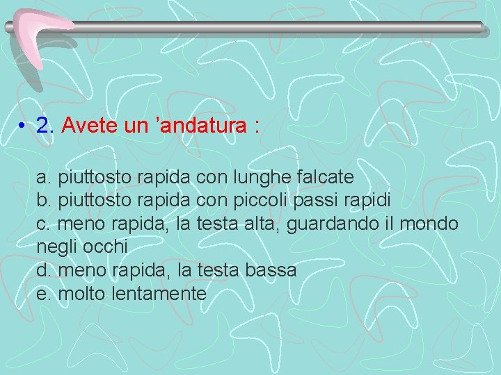  • 2. Avete un ’andatura : a. piuttosto rapida con lunghe falcate b.