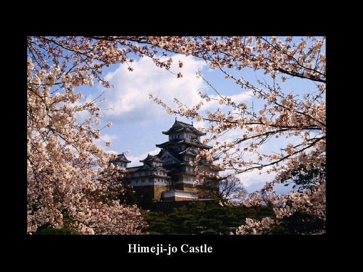 Himeji-jo Castle 