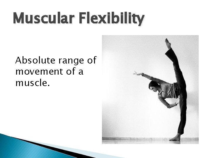 Muscular Flexibility Absolute range of movement of a muscle. 