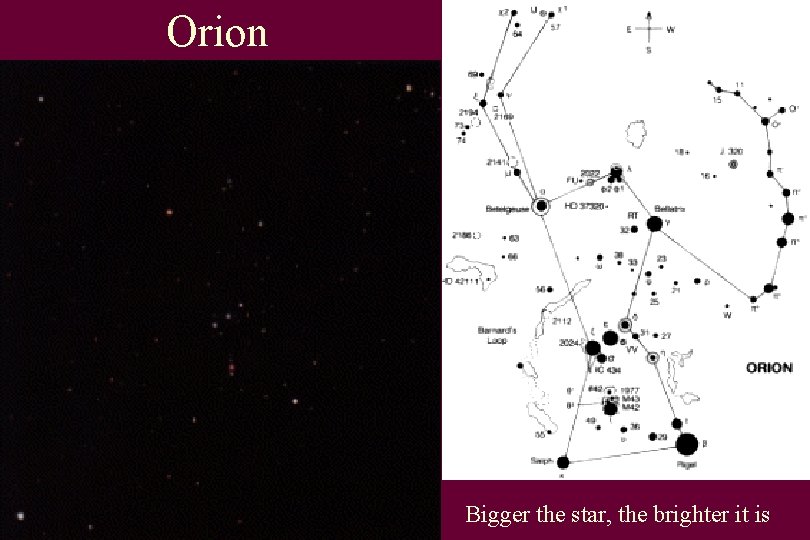 Orion Bigger the star, the brighter it is 
