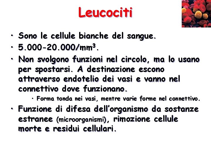 Leucociti • • • Sono le cellule bianche del sangue. 5. 000 -20. 000/mm