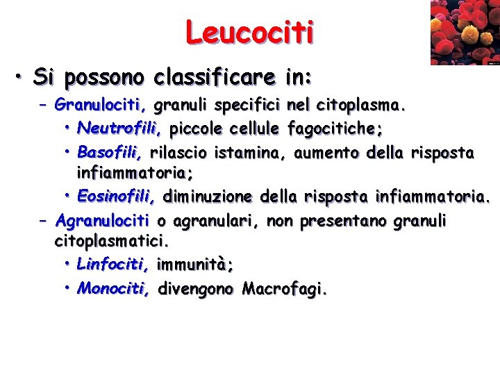 Leucociti • Si possono classificare in: – Granulociti, granuli specifici nel citoplasma. • Neutrofili,