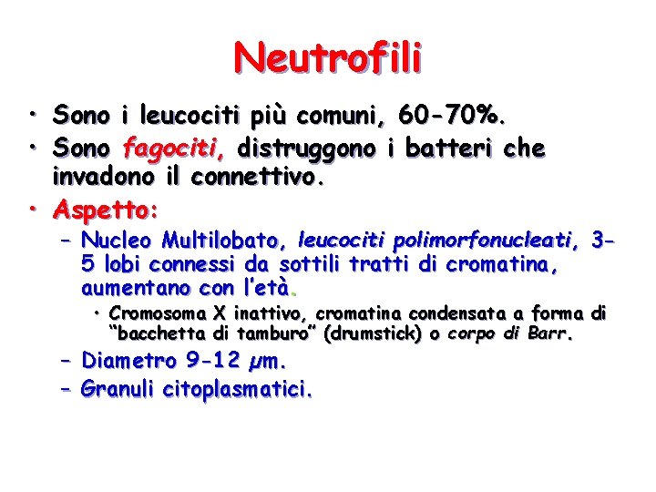 Neutrofili • Sono i leucociti più comuni, 60 -70%. • Sono fagociti, distruggono i