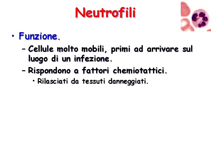 Neutrofili • Funzione. – Cellule molto mobili, primi ad arrivare sul luogo di un