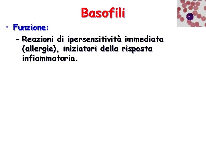 Basofili • Funzione: – Reazioni di ipersensitività immediata (allergie), iniziatori della risposta infiammatoria. 