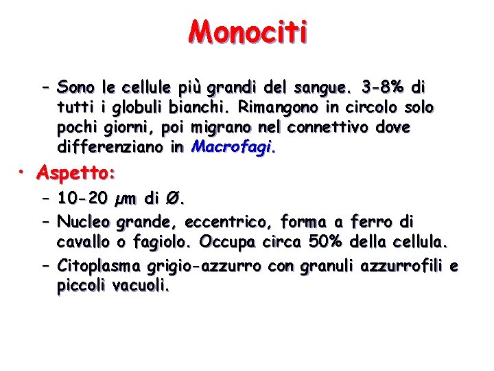 Monociti – Sono le cellule più grandi del sangue. 3 -8% di tutti i