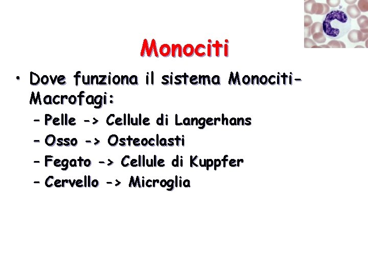 Monociti • Dove funziona il sistema Monociti. Macrofagi: – Pelle -> Cellule di Langerhans