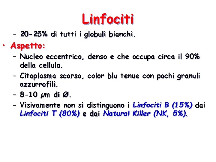 Linfociti – 20 -25% di tutti i globuli bianchi. • Aspetto: – Nucleo eccentrico,