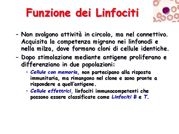 Funzione dei Linfociti – Non svolgono attività in circolo, ma nel connettivo. Acquisita la