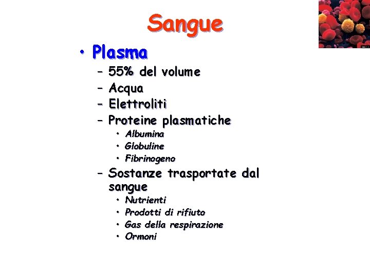 Sangue • Plasma – – 55% del volume Acqua Elettroliti Proteine plasmatiche • •