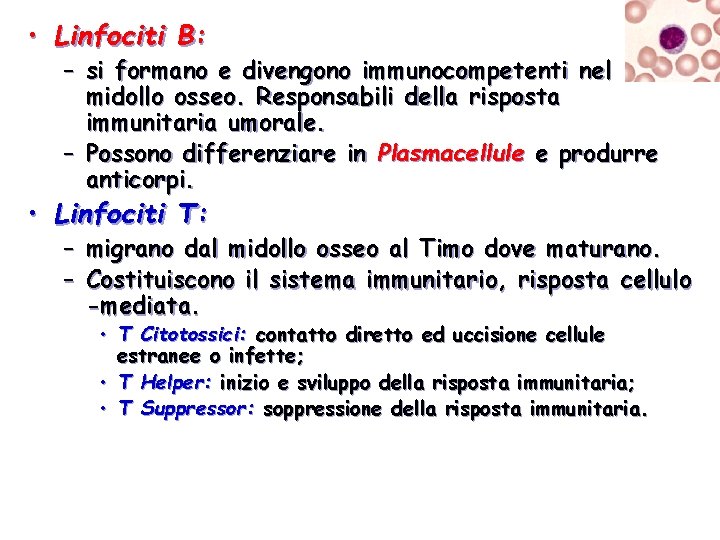  • Linfociti B: – si formano e divengono immunocompetenti nel midollo osseo. Responsabili