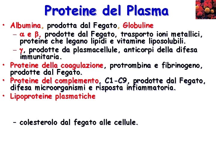 Proteine del Plasma • Albumina, prodotta dal Fegato, Globuline – e , prodotte dal